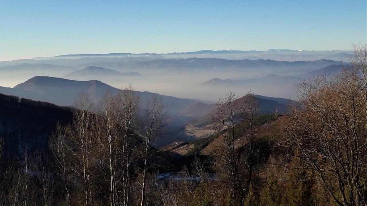 Apartman D52 Dvori Kopaonik Exteriör bild