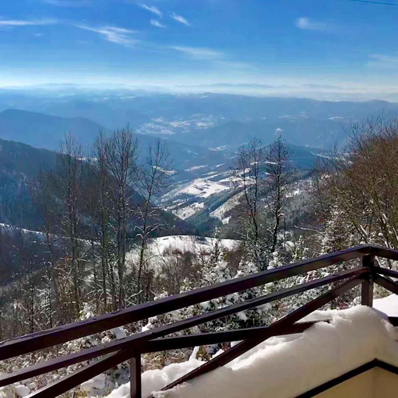 Apartman D52 Dvori Kopaonik Exteriör bild