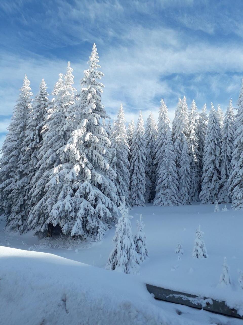 Apartman D52 Dvori Kopaonik Exteriör bild