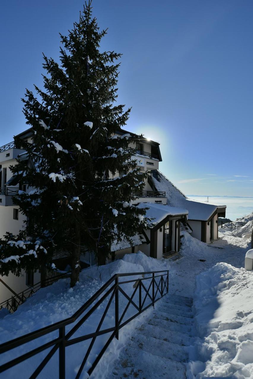 Apartman D52 Dvori Kopaonik Exteriör bild